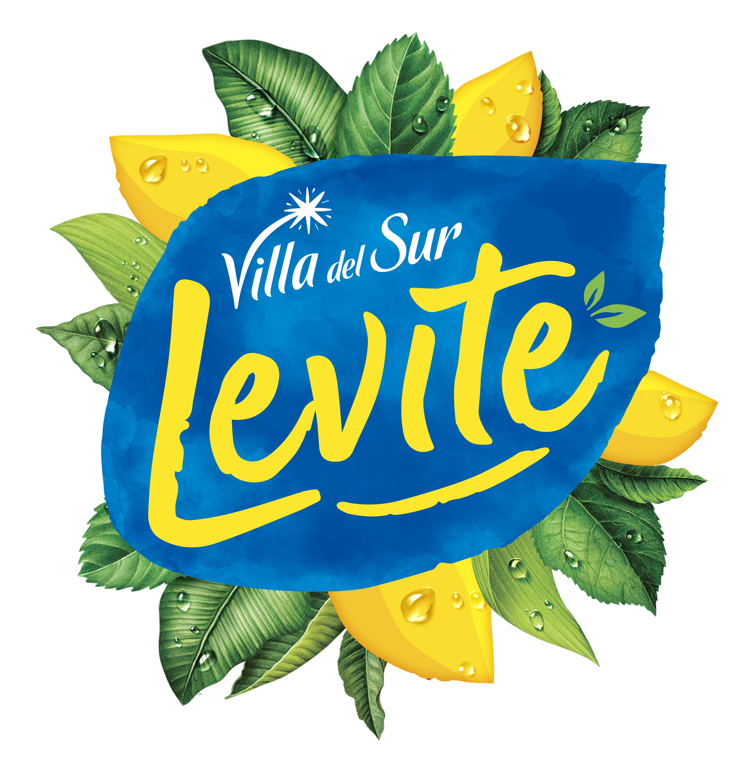 Levite